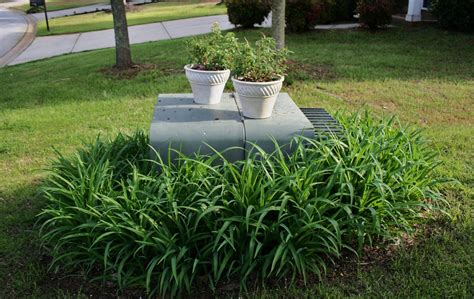 green yard electric box cover up|landscaping to hide utility box.